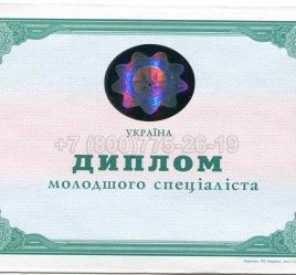 Диплом Техникума Украины 2008г в Ростове-на-Дону