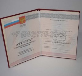 Аттестат За 11 Класс 2010г Серебро в Ростове-на-Дону