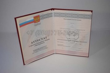 Аттестат За 11 Класс 2010г Серебро в Ростове-на-Дону